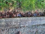 image of grave number 362876